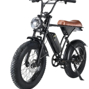 playa ebikes "extreme" 750w e bike