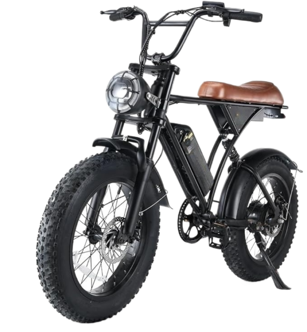 playa ebikes "extreme" 750w e bike