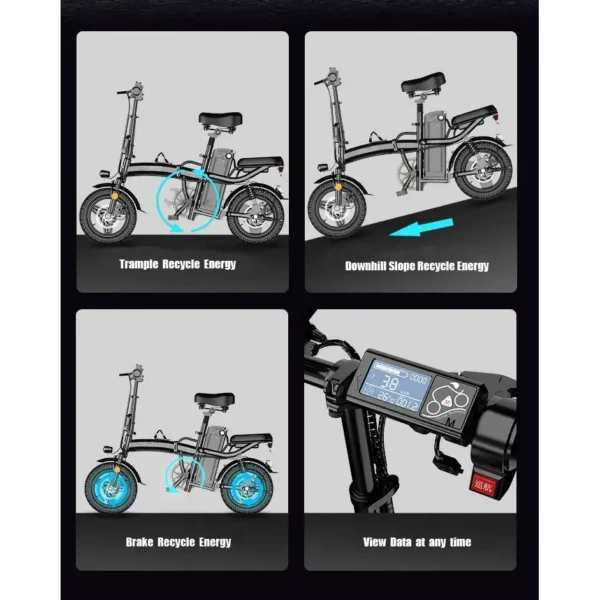 Playa eBikes Eco 350W Folding eBike – speed display and throttle
