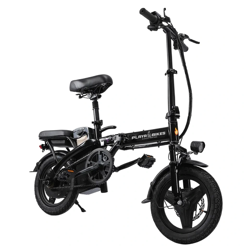 Eco Bike