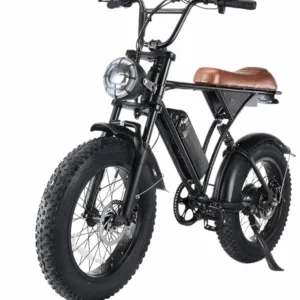 Playa eBikes Extreme 750W Fat-Tire eBike