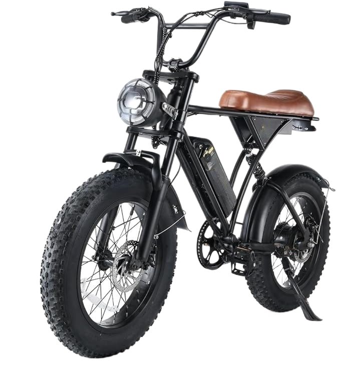 Playa eBikes Extreme 750W Fat-Tire eBike